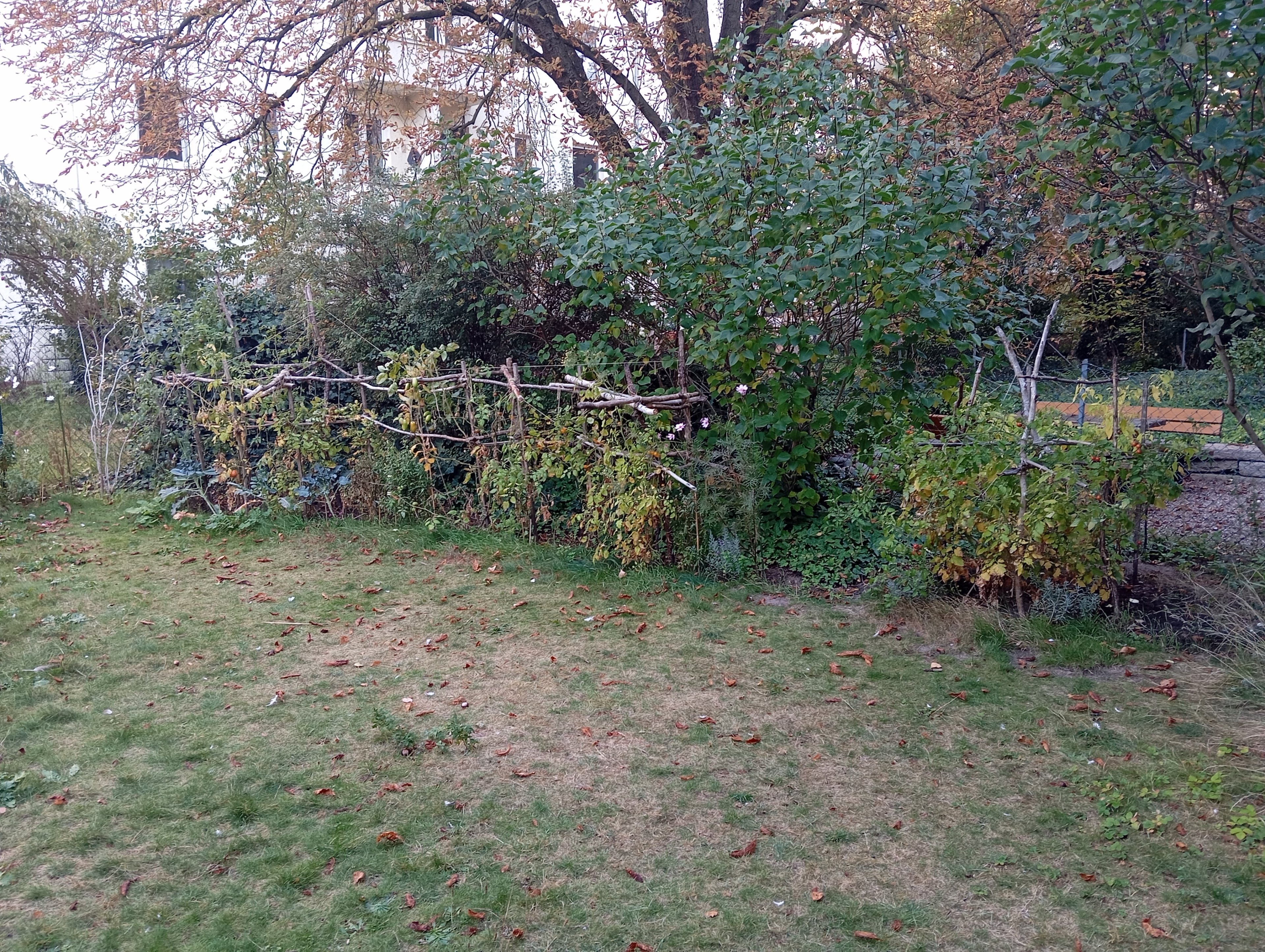IMG_20251002_090243.jpg