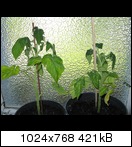 img_3219u6sy.jpg