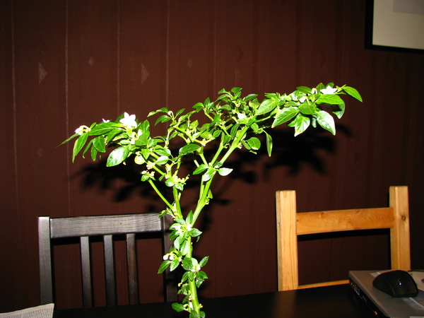 img_5813do4t.jpg