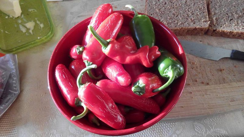 Jalapeno.jpg
