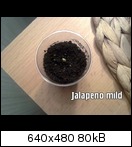 jalapenomild17nh.jpg