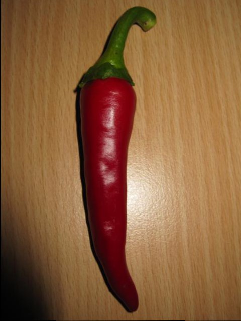 K640_Chili 270.JPG