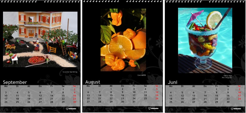kalenderdesign2012.jpg