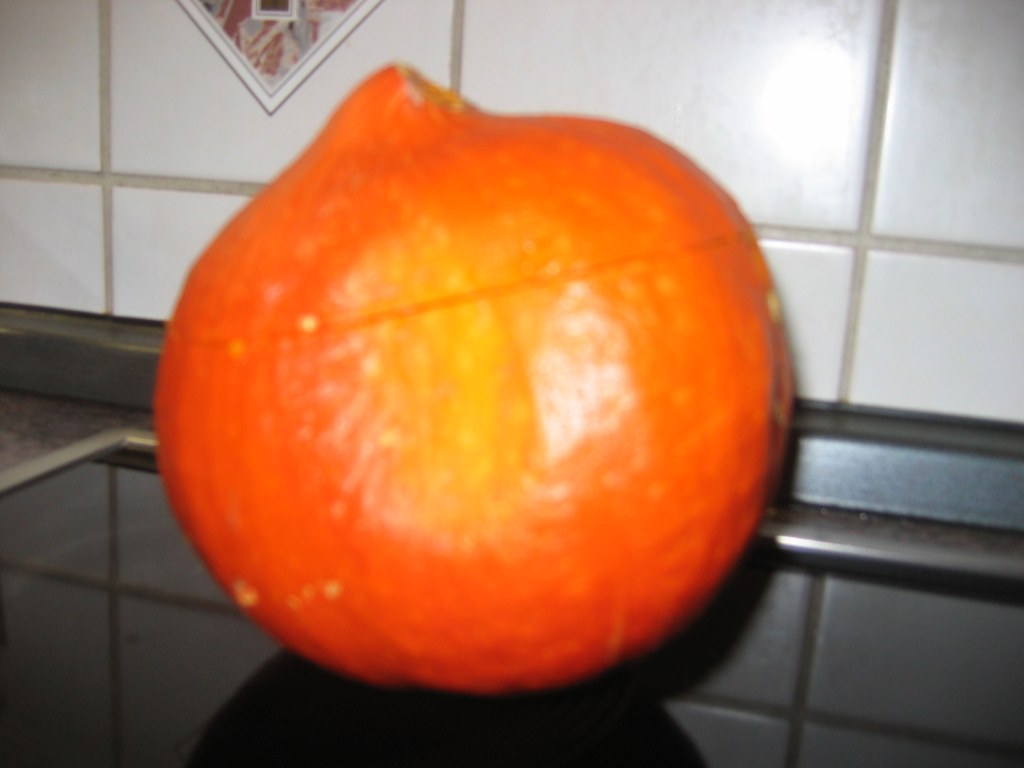 Kürbis orange 2-3Kg sehr fest 2006 (1)sts.jpg