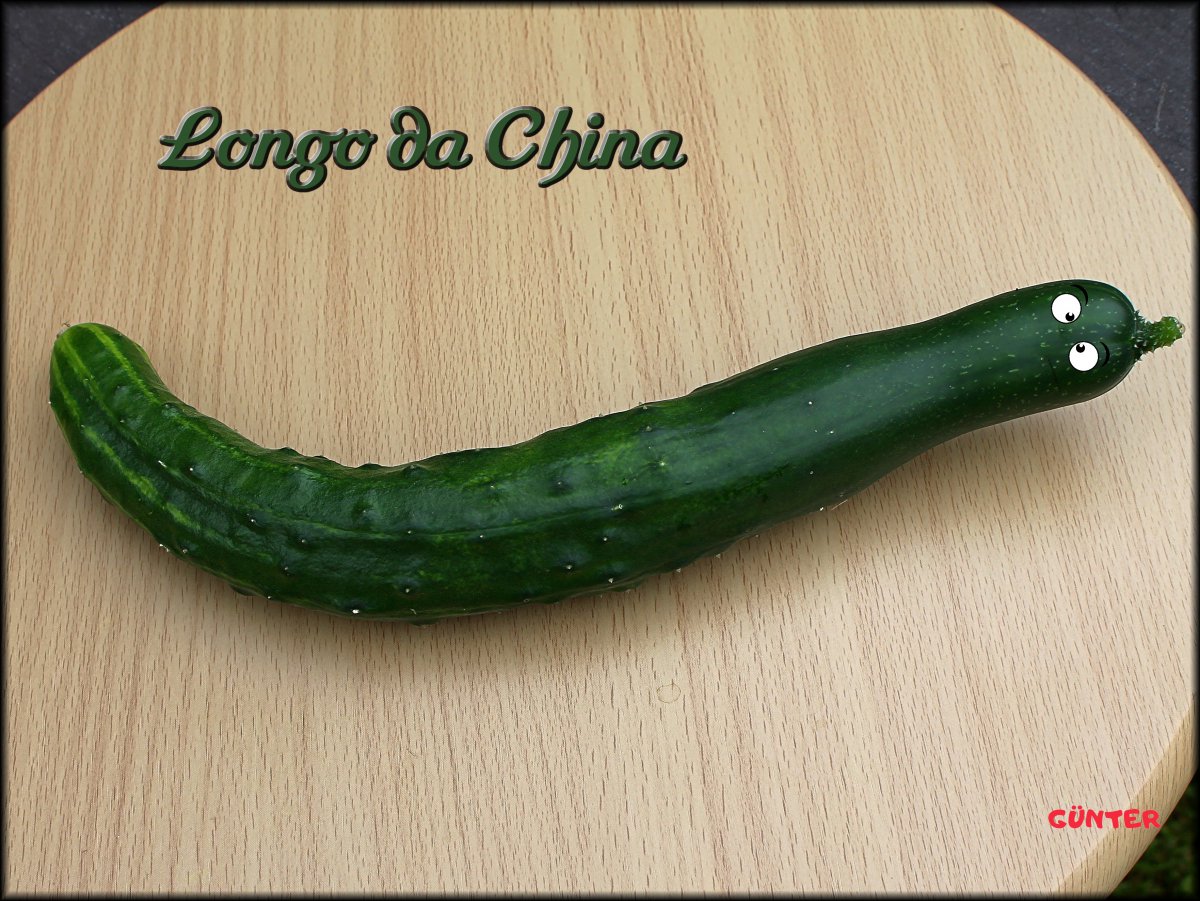 Longo da China Gurke 03072020 mit Augen.JPG