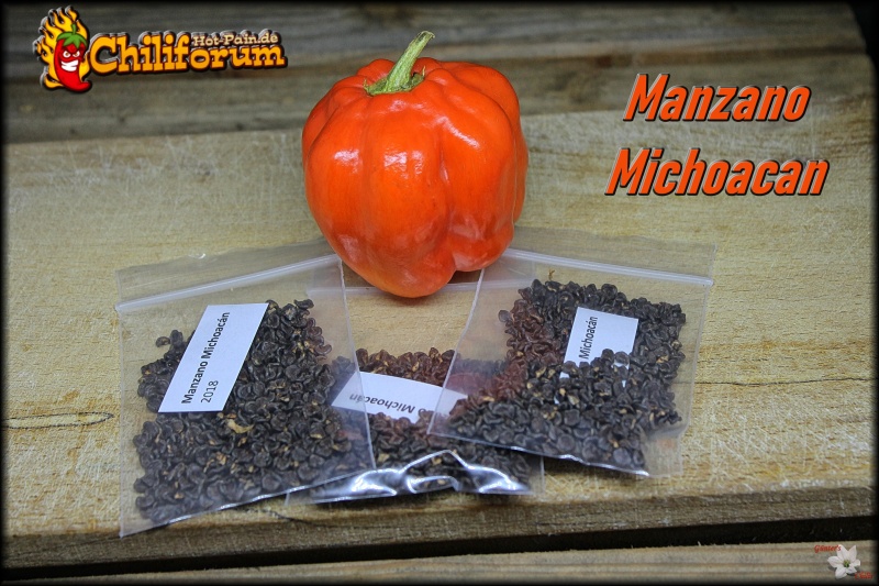 Manzano Michoacan-Hot-Pain - Kopie.JPG