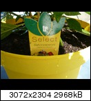 p10106222uo4.jpg