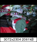 p10106518hwb.jpg