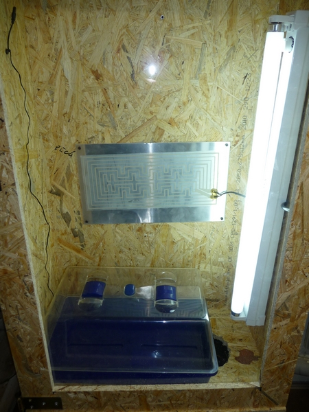 p1020393wb6p.jpg