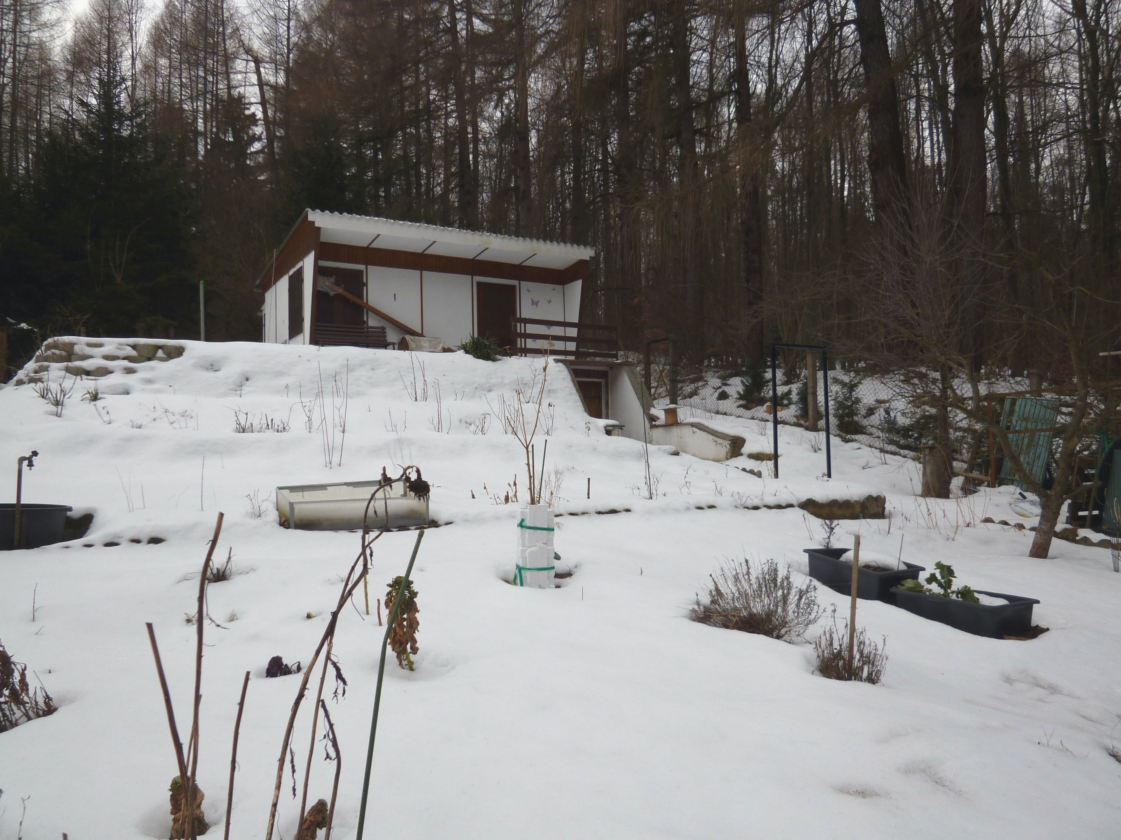 P1020691.JPG