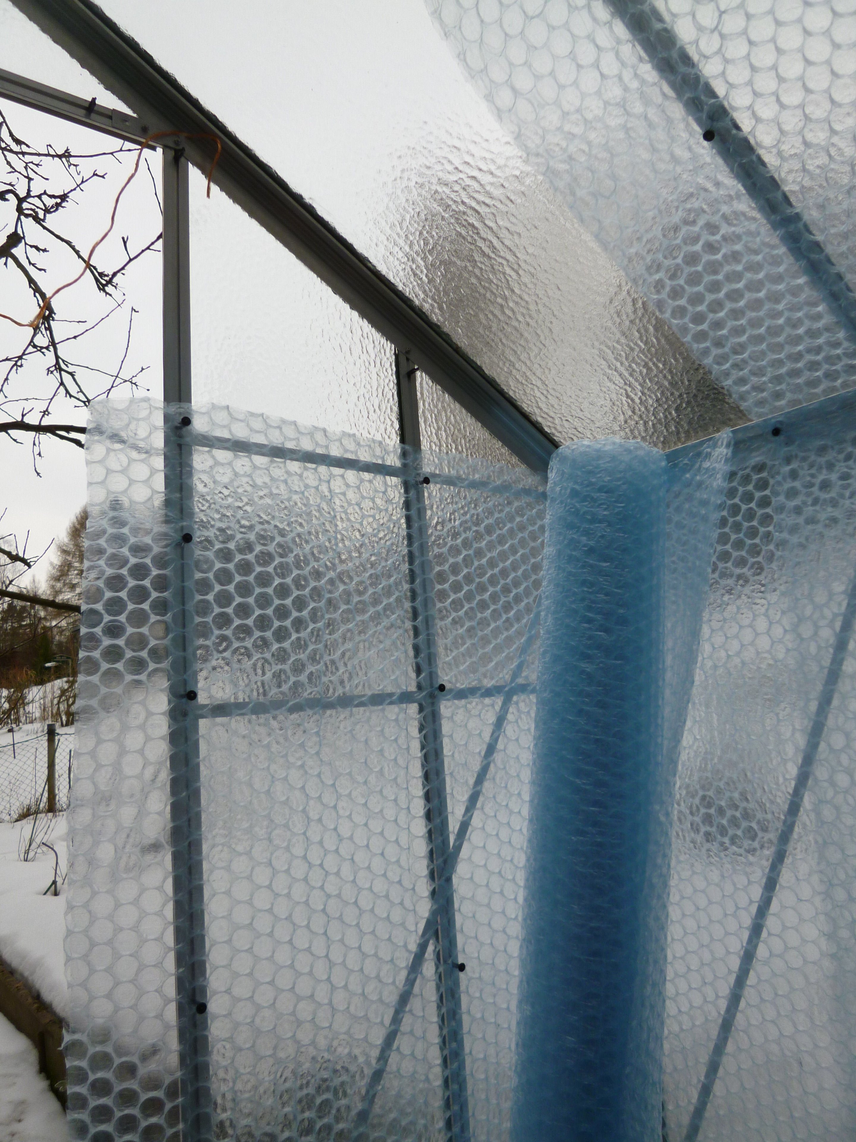 P1020693 a.JPG