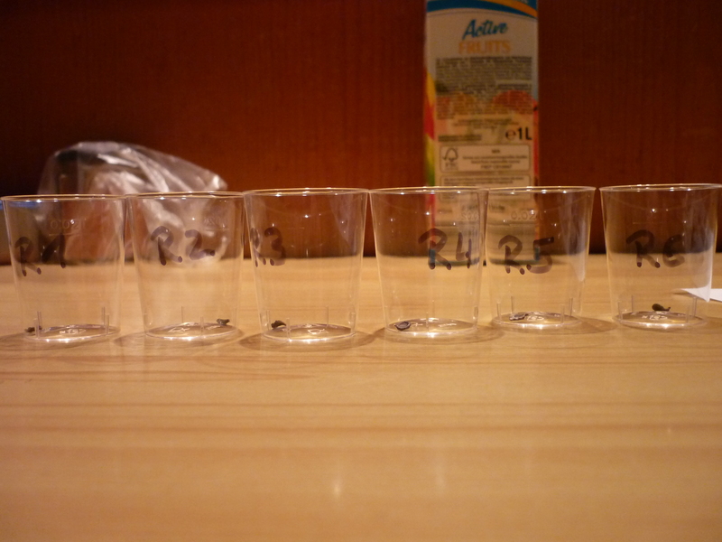 p10306973us8l.jpg