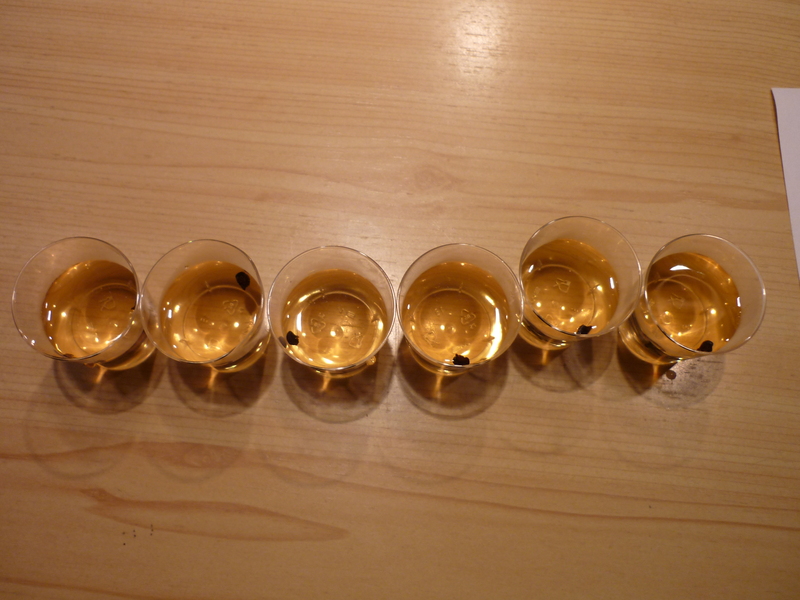 p1030699zrse5.jpg
