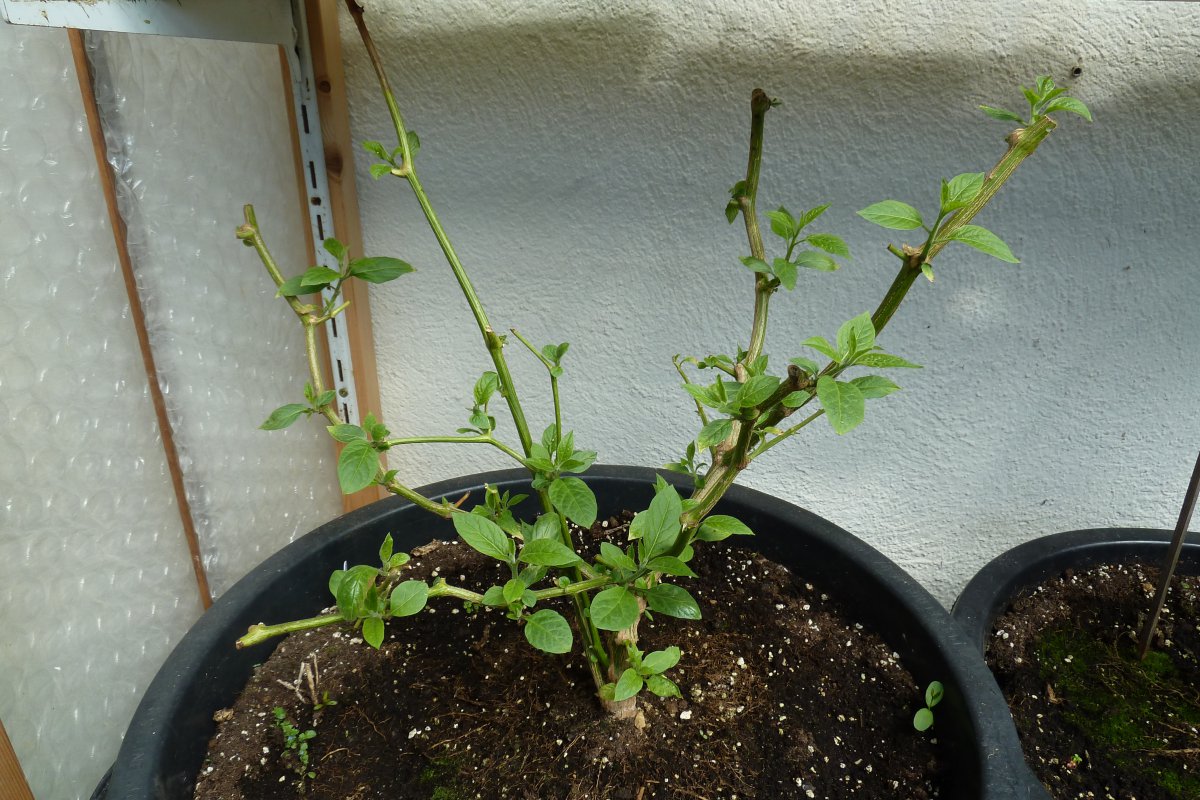 P1170725.JPG