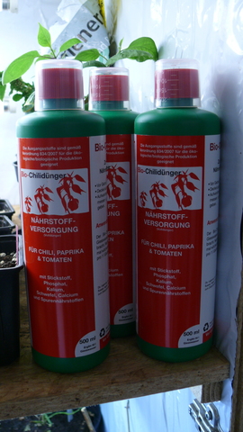 p1270954qfdt2.jpg