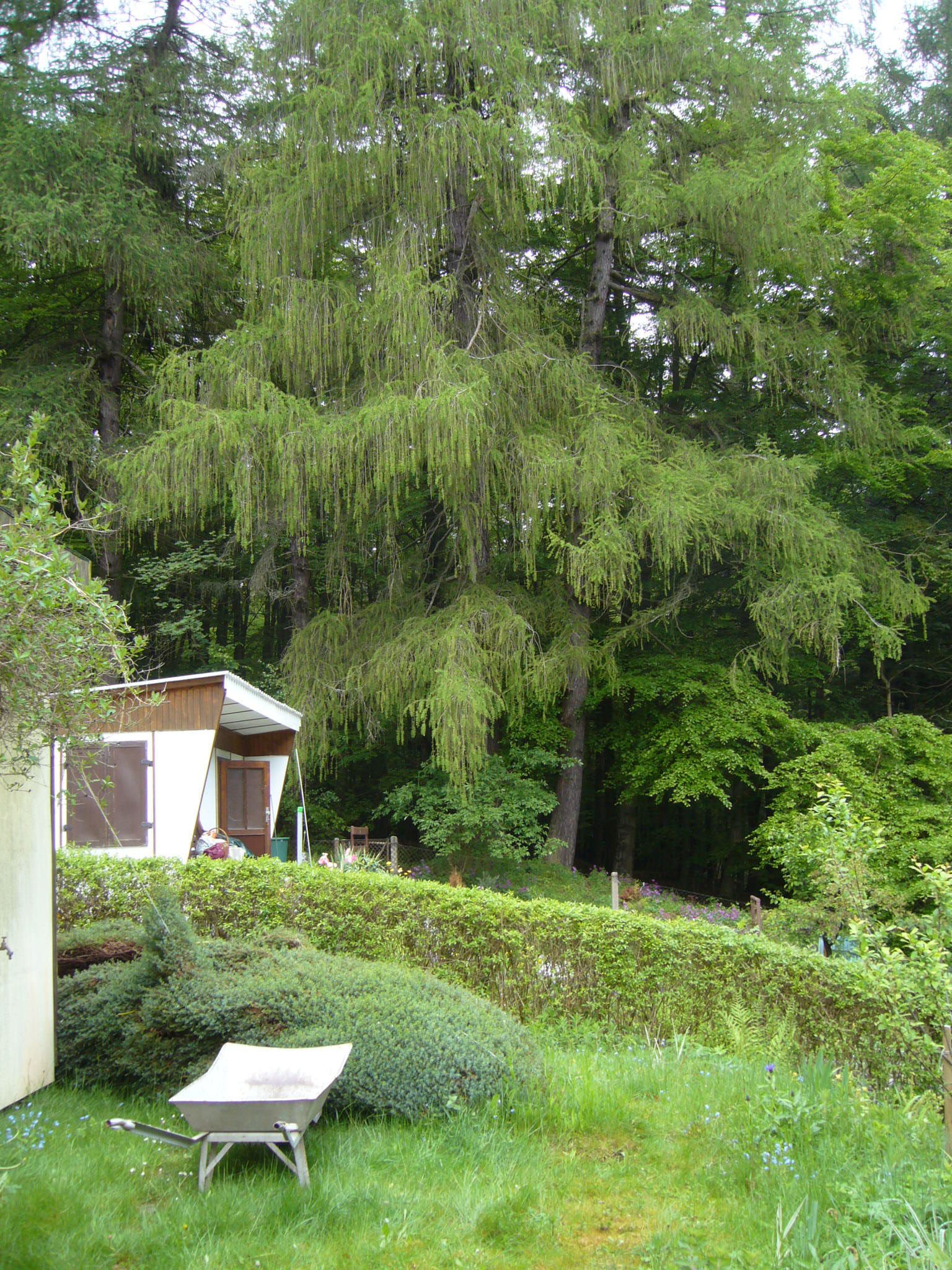 P1280646 a.JPG