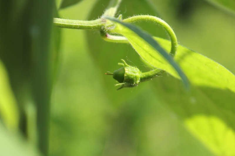 p360-frucht01uebkt.jpg