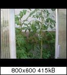 p7140015t917.jpg