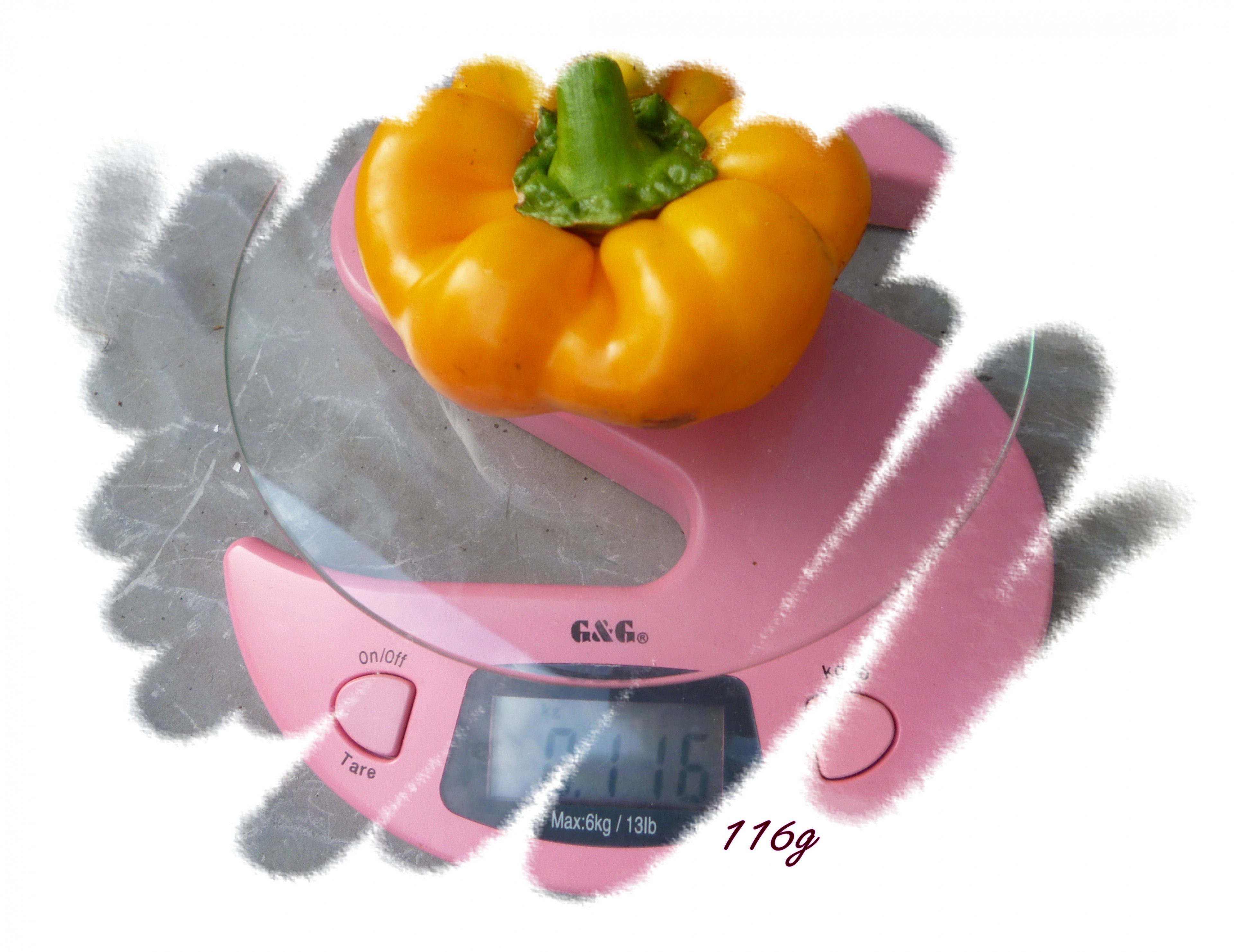 paprika 116g.jpg