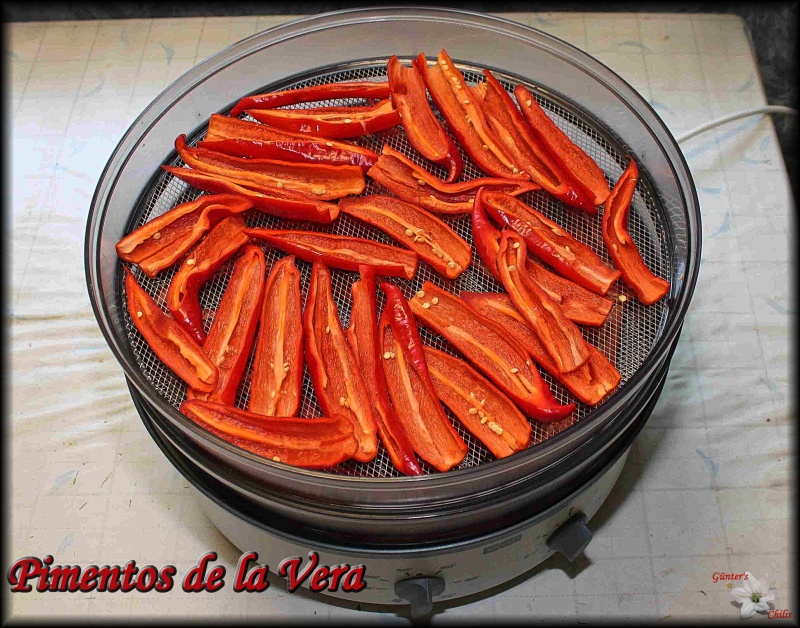 Pimentos de la Vera 29.09.2017 - Kopie.jpg