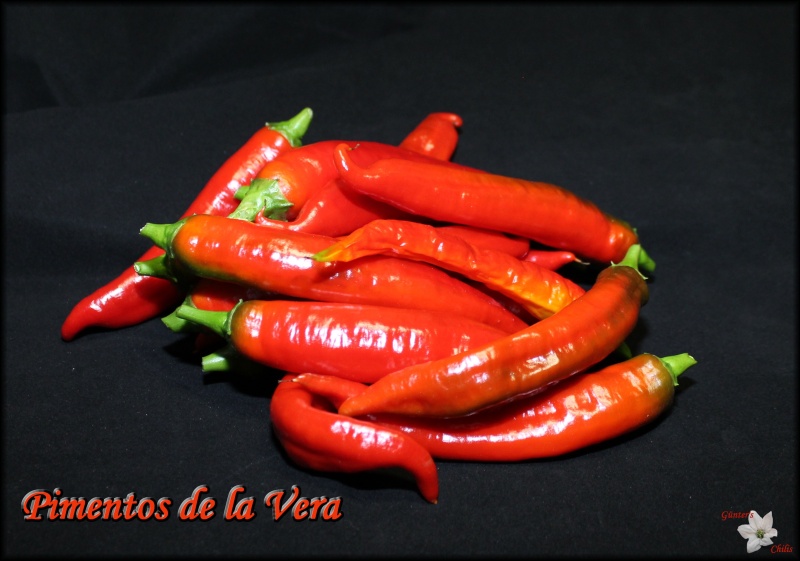 Pimentos de la Vera - Kopie.JPG