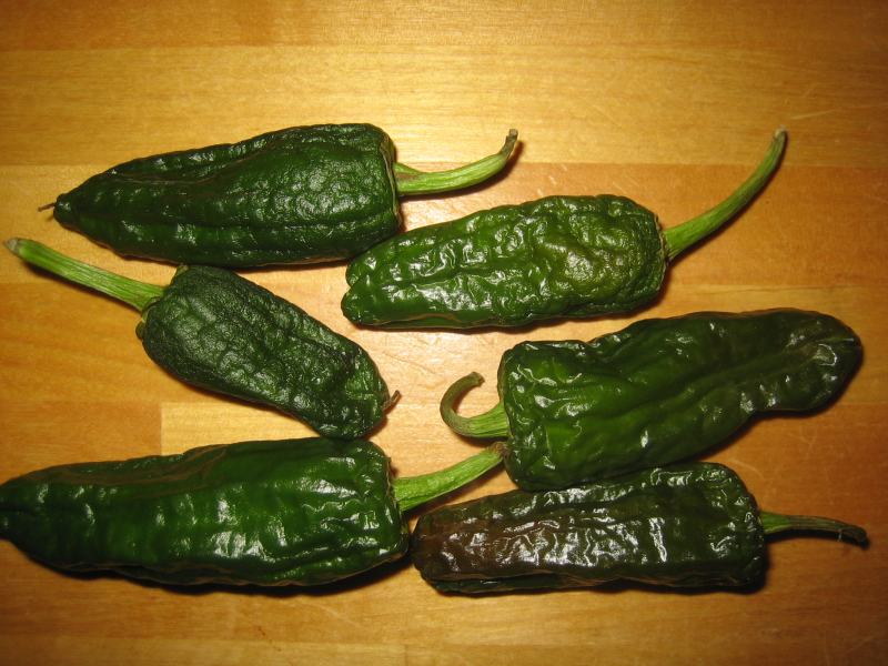 Pimiento de Padron 001.jpg