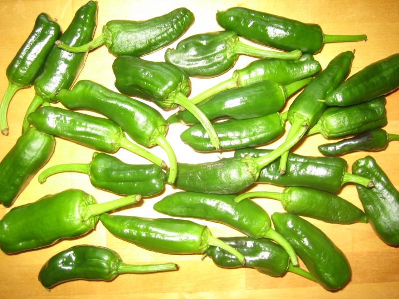 Pimiento de Padron 001.jpg