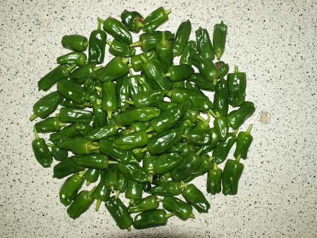 Poblanos.jpg