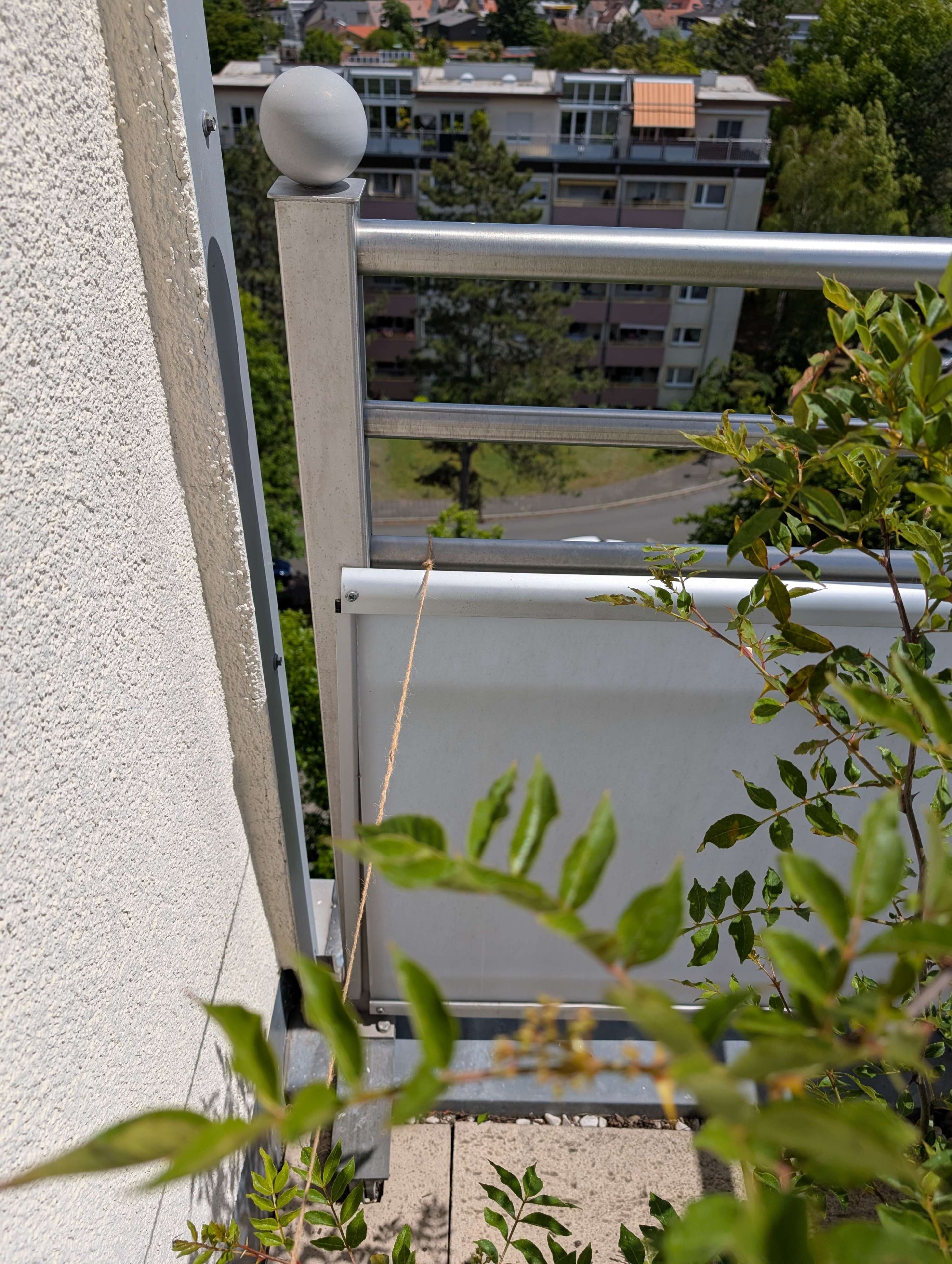 PXL_20250526_111657845.MP.jpg