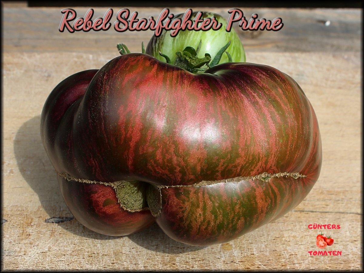 Rebel Starfighter Prime_19072020.JPG