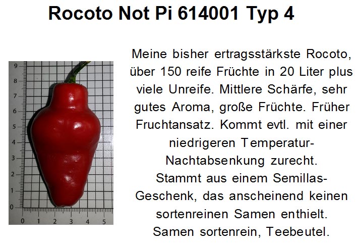 Rocoto-Not-Pi-614001-Typ-4.jpg