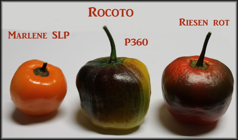 Rocotos.jpg