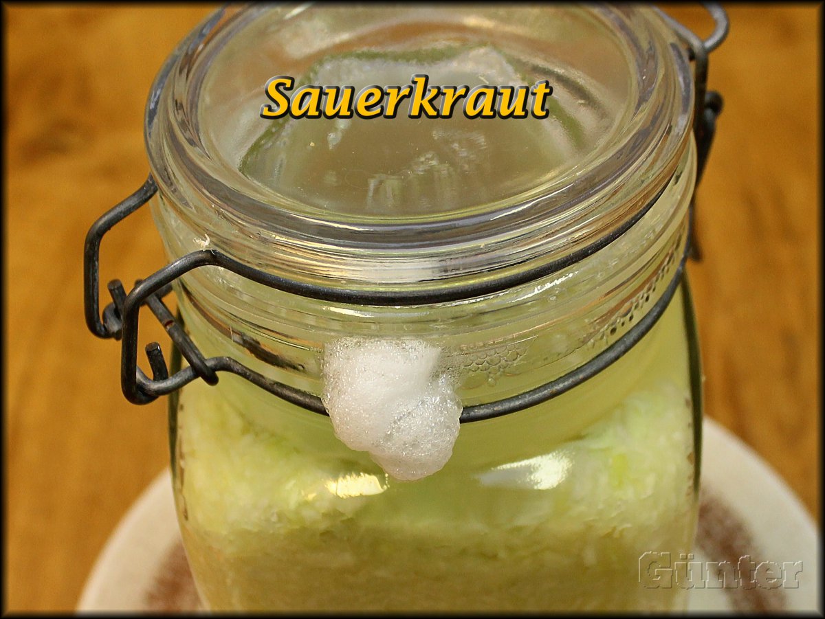 Sauerkraut Gärung.JPG