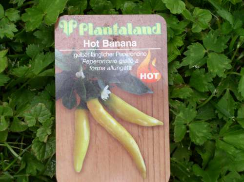 Schild Hot Banana.JPG