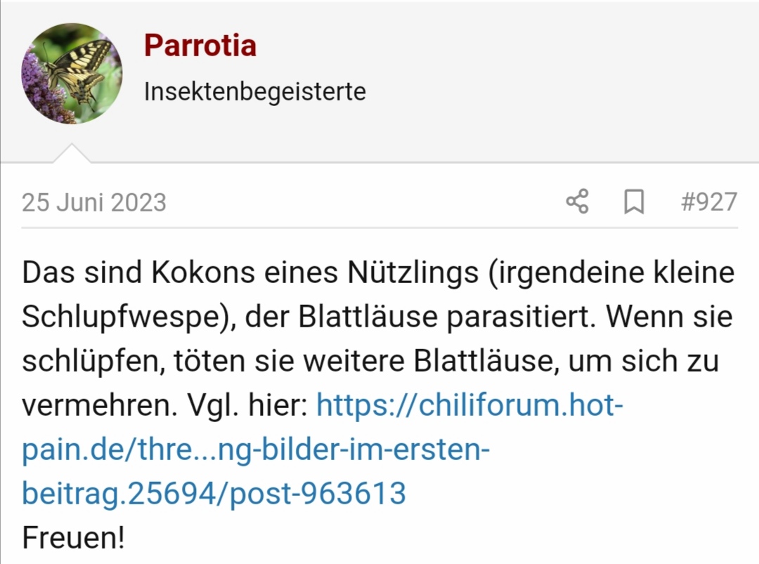 Screenshot_20240424_200622.jpg