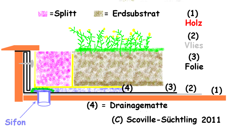 skizzedachbegrnung-scglc1o.png