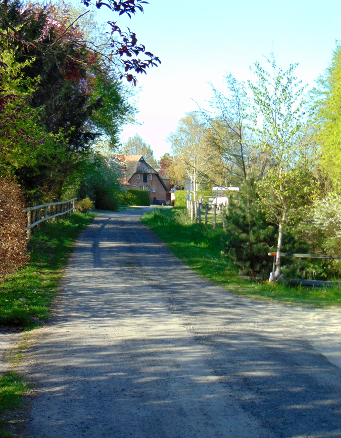 Storchenweg.jpg