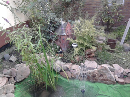 Teich 21 08 2010 1.jpg