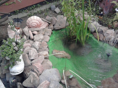Teich 21 08 2010.jpg