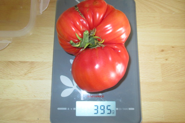 Tomaten 20017 001.JPG