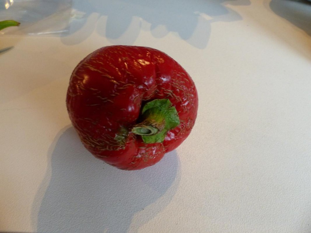Tomatenpaprika1.jpg