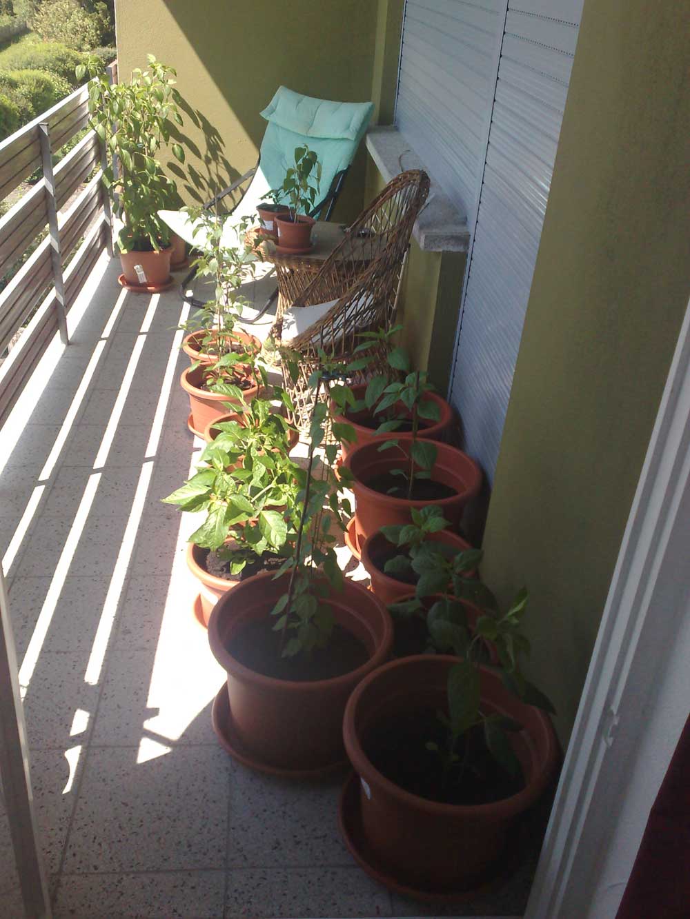 uebersicht-balkon.jpg
