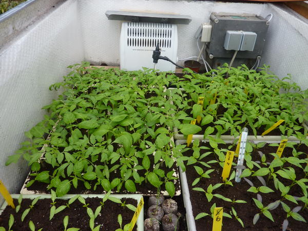 web_P1000584.JPG