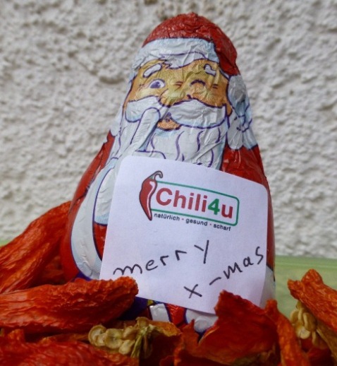 Weihnachten_01-klein.jpg
