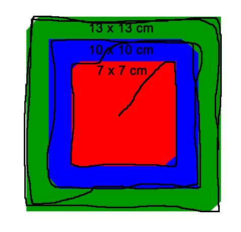 Wurzeln-wachstum 1.jpg