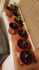 20170209_182124.jpg