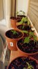 20170209_182151.jpg