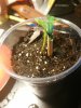 IMG_20170211_212443.jpg