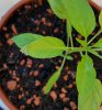 20170213_073720.jpg