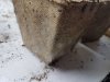 20170215_172958.jpg